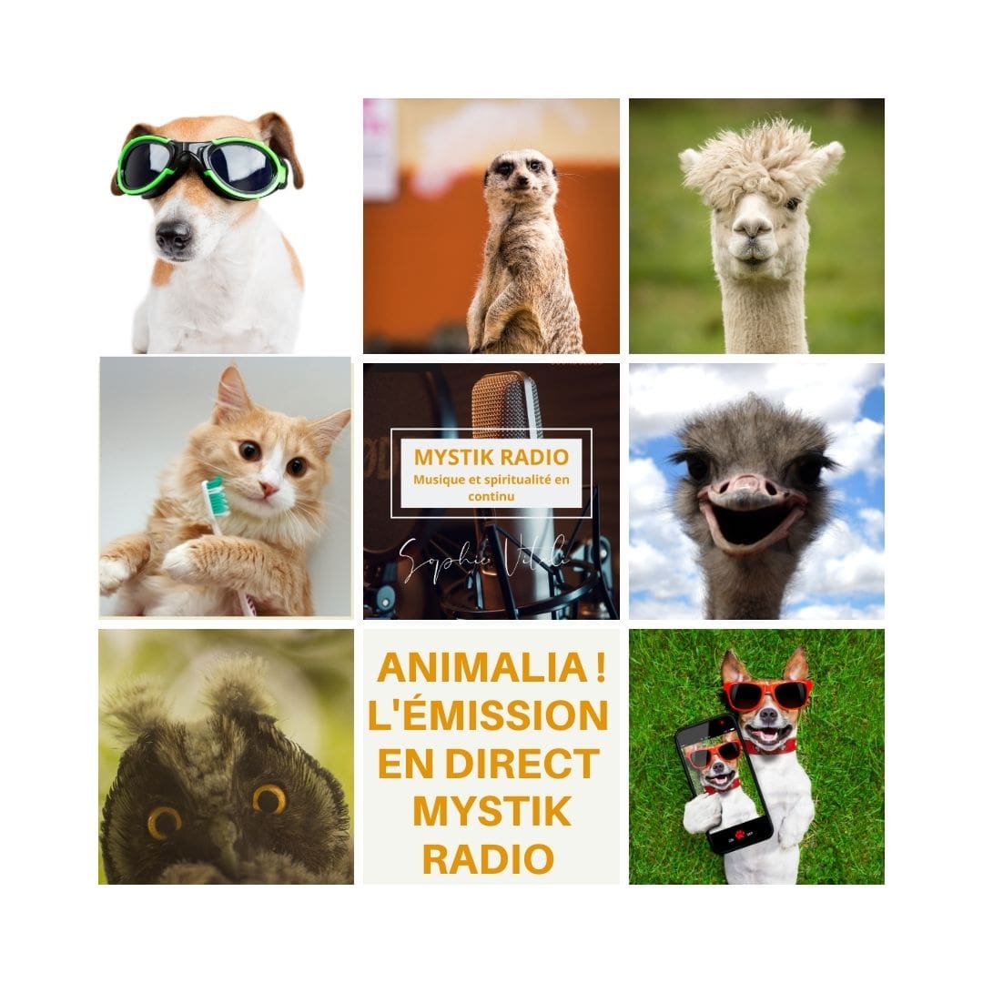 Animalia ! L'émission en direct sur >Mystik Radio