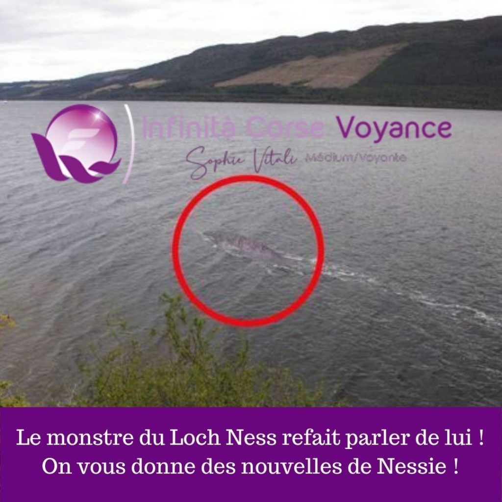 Le monstre du Loch Ness refait parler de lui ! On vous donne des nouvelles de Nessie ! / Le blog de Sophie / Infinità Corse Voyance