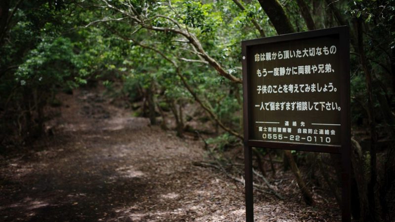 Les panneaux à l'entrée de la forêt d'Aokigahara incitant les personnes à faire demi-tour