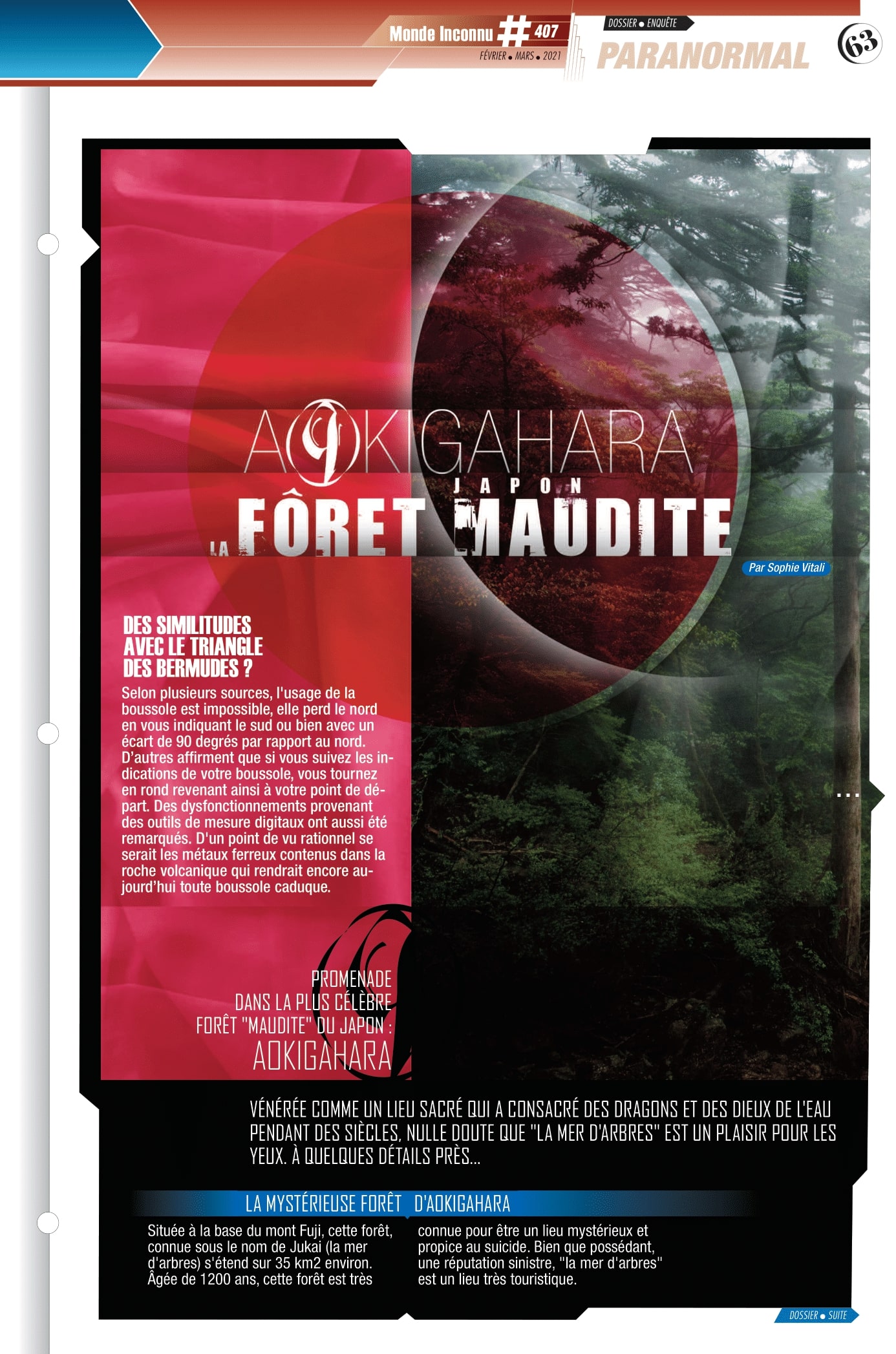 La forêt maudite d'Aokigahara par Sophie Vitali pour le magazine Monde Inconnu