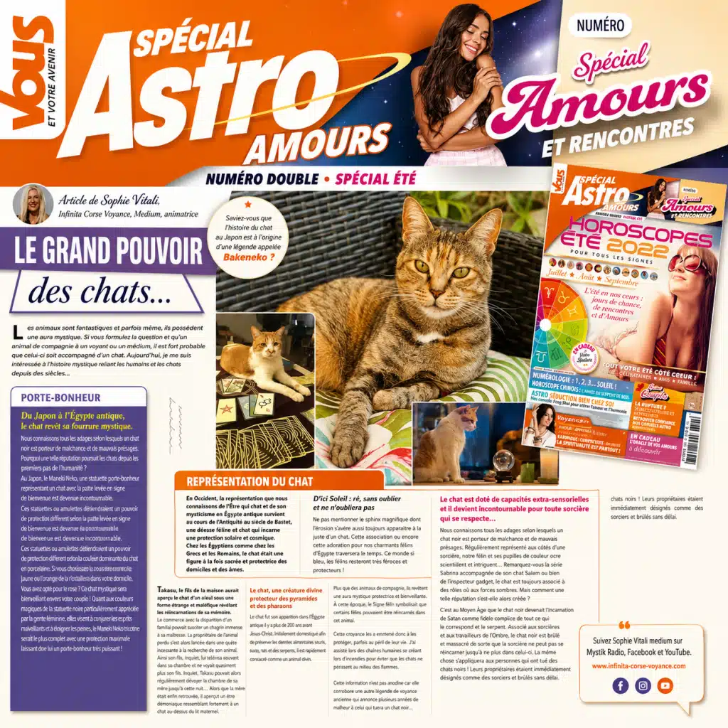 Pouvoir spirituel des chats : protection énergétique, intuition et lien avec l'invisible selon Sophie Vitali