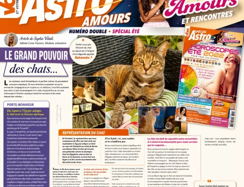 Pouvoir spirituel des chats : protection, énergies et lien avec l’invisible