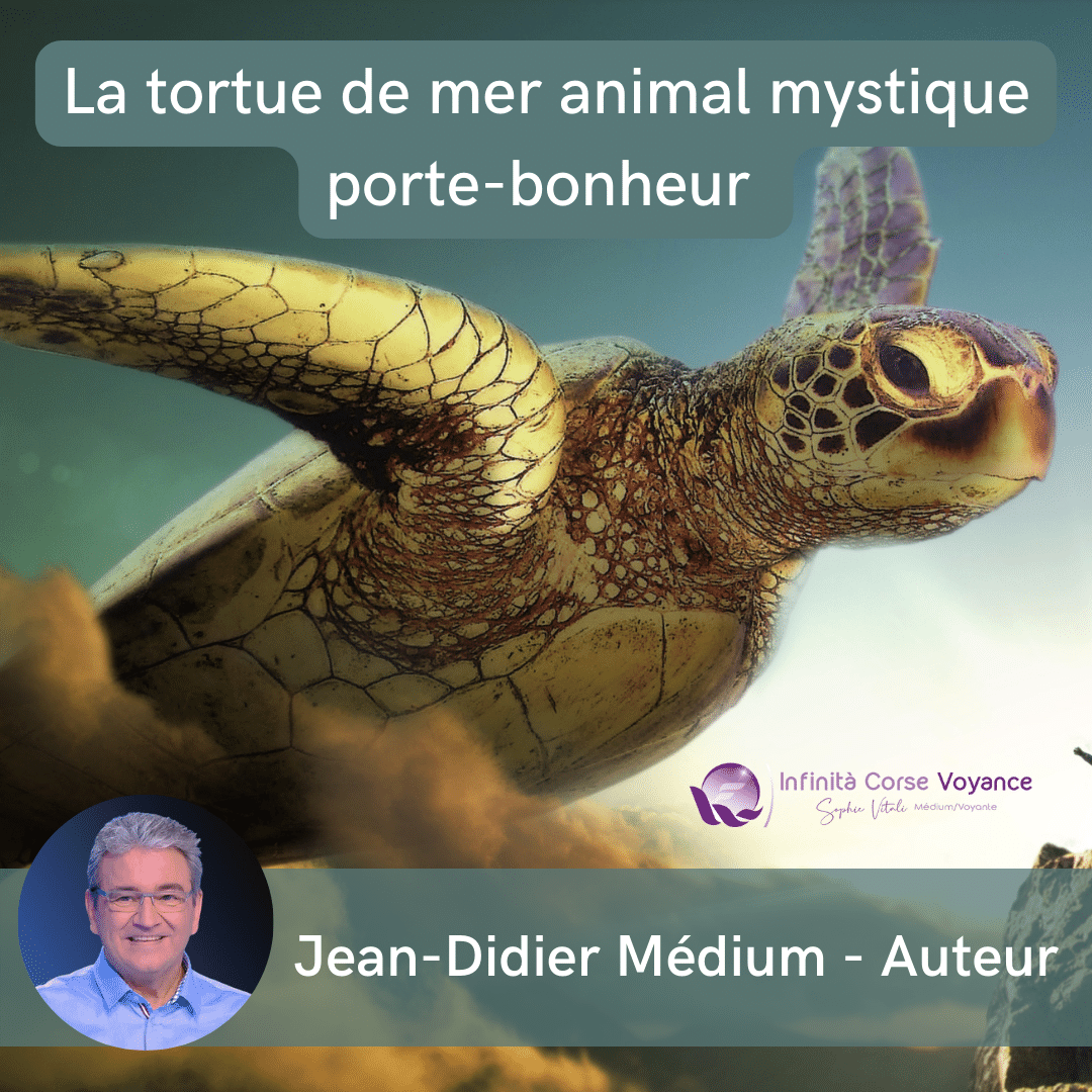 La tortue de mer animal mystique porte-bonheur par excellence - Attirer la chance et le succès de Jean-Didier célèbre médium