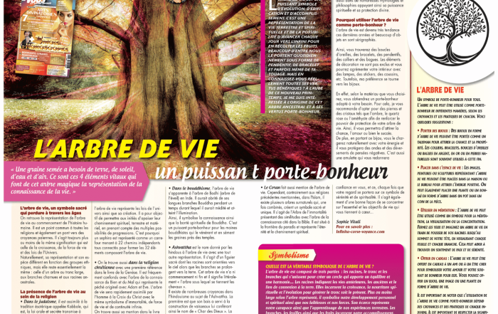 L’arbre de vie, un puissant porte-bonheur par Sophie Vitali médium et auteure - Vous et votre avenir Magazine