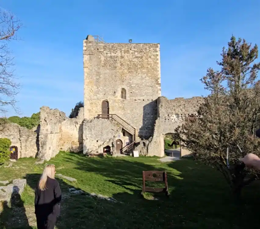 Château de Rochefort-en-Valdaine avec son donjon, ses remparts et ses ruines médiévales en Drôme provençale.