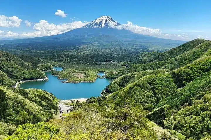 Forêt d’Aokigahara au pied du mont Fuji avec vue sur les lacs du Japon