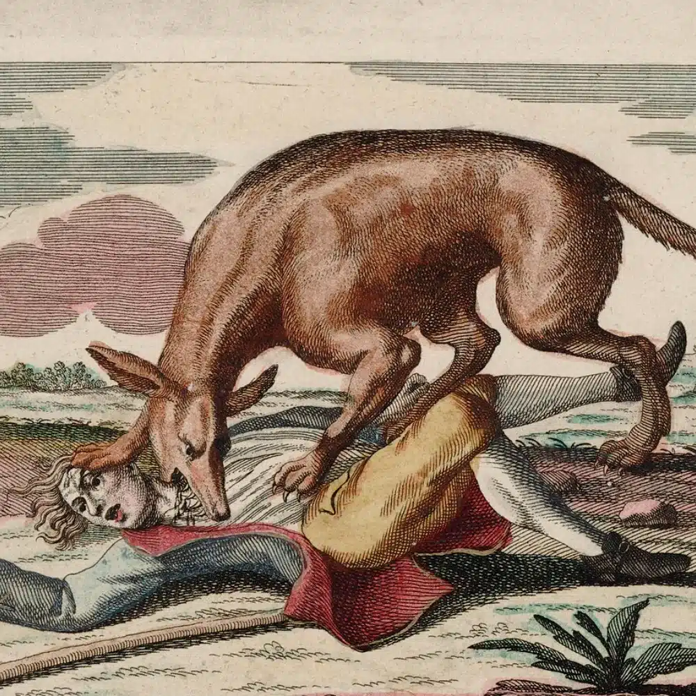 Estampe coloriée de 1764 montrant la Bête du Gévaudan rousse dévorant une victime dans un paysage de campagne, image populaire vendue dans toute la France