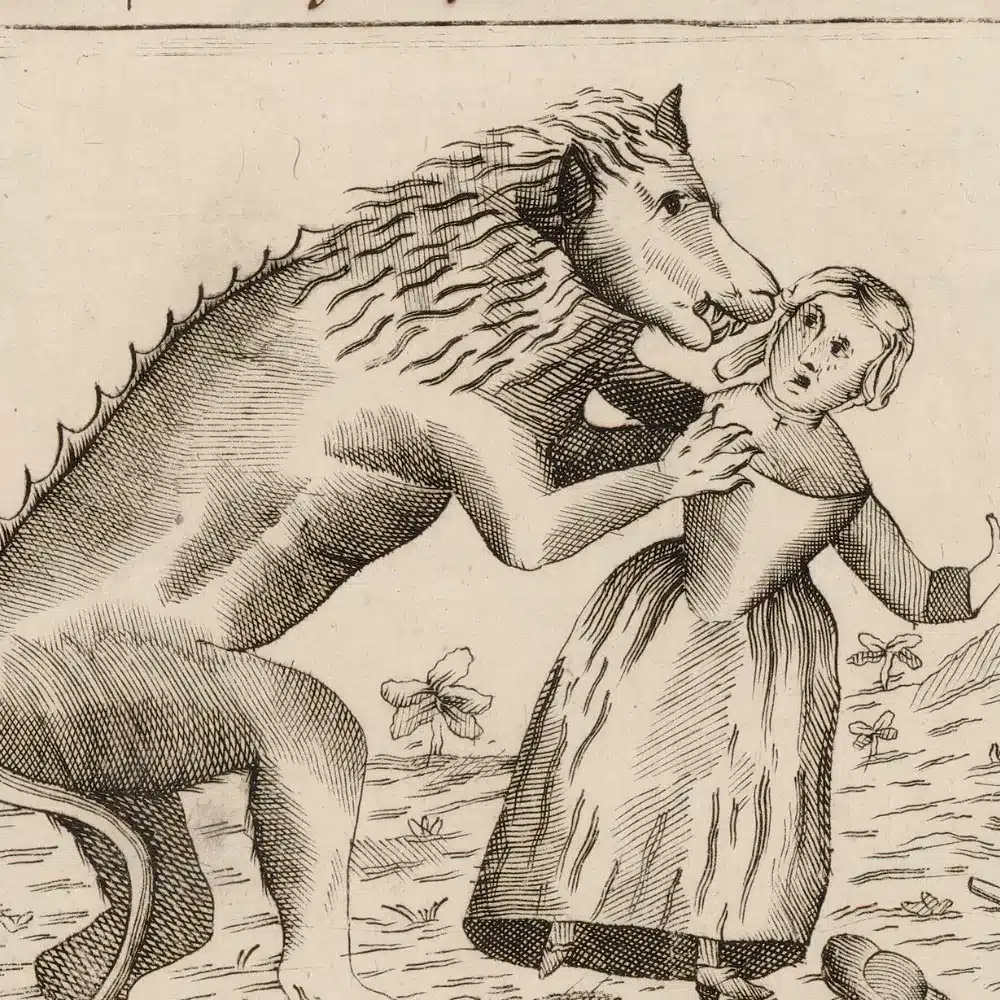 Estampe de M. Ray de 1764 représentant la Bête du Gévaudan dressée sur ses pattes attaquant une jeune bergère, avec une longue légende gravée