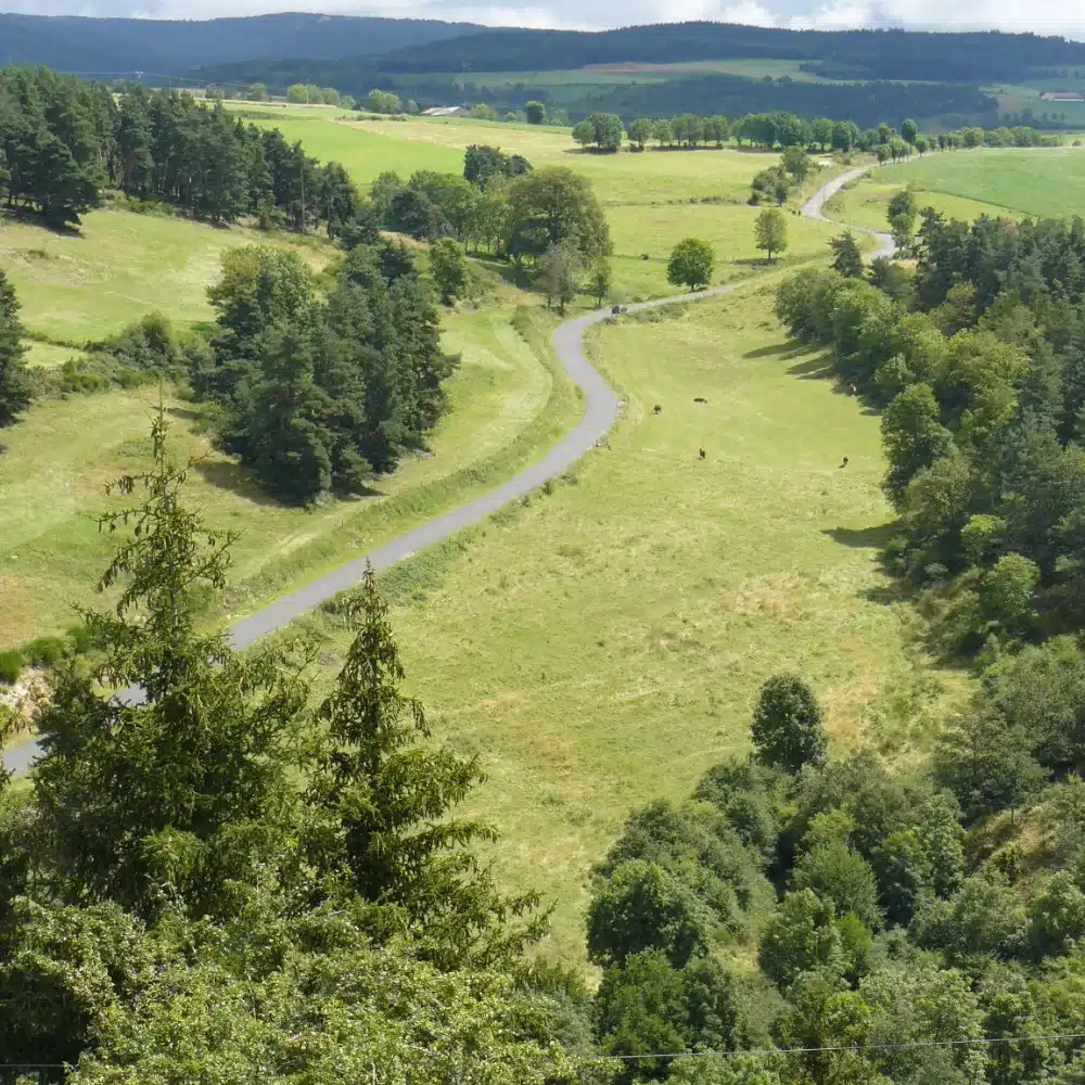 Vallée verdoyante de la Margeride, prairies, forêts de pins et petite route, au cœur du pays de la Bête du Gévaudan