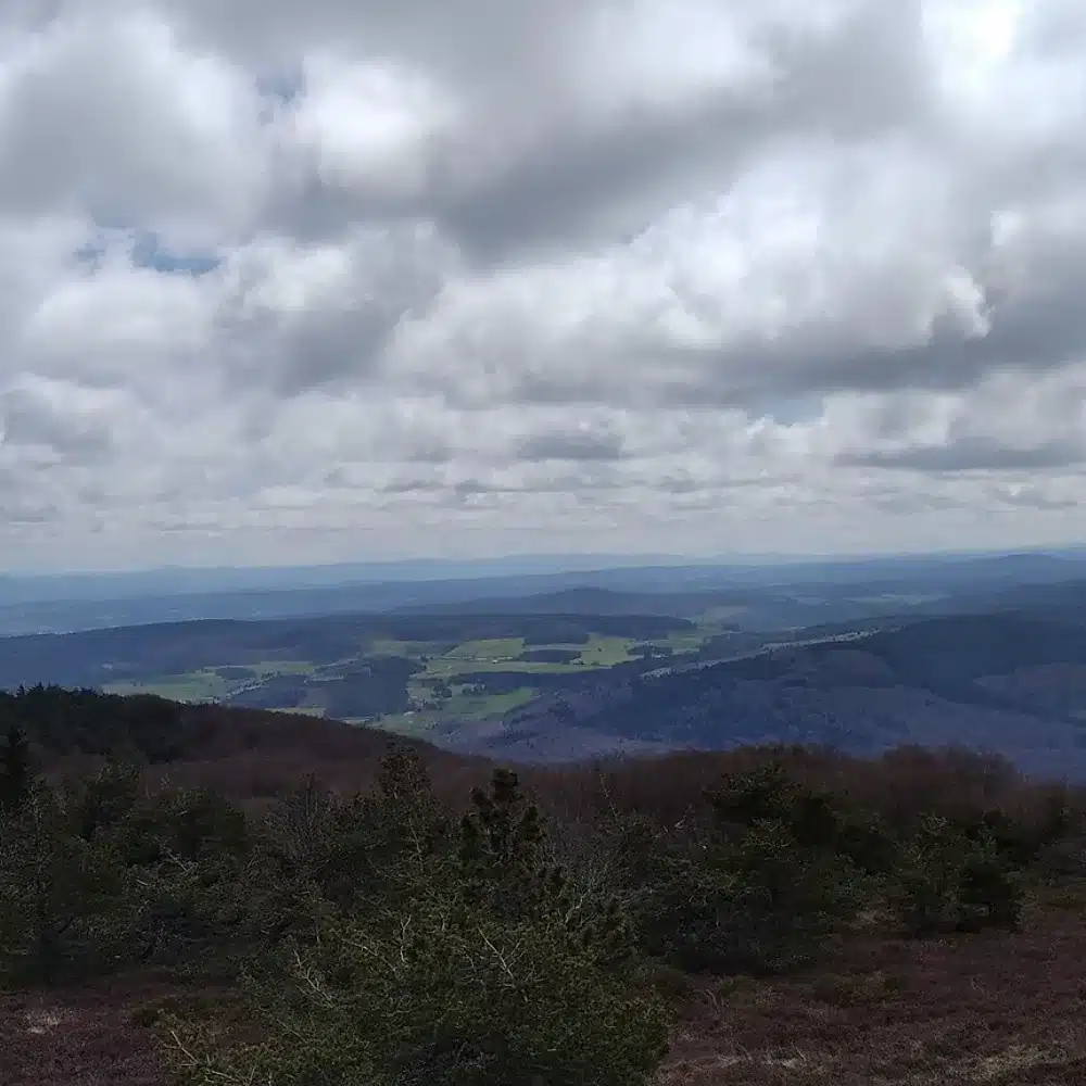 Vue depuis la table d’orientation du mont Mouchet sur les forêts de la Margeride, près de la Sogne d’Auvers où Jean Chastel a tué la Bête