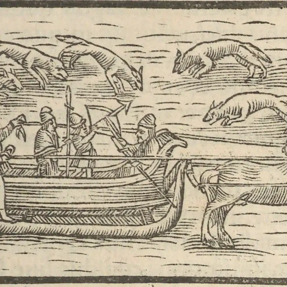 Gravure d’Olaus Magnus de 1555 : des hommes changés en loups bondissent autour de voyageurs en traîneau dans les pays du Nord